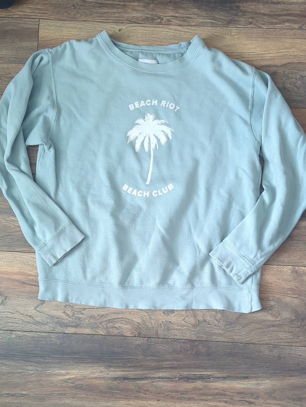 Beach Riot Light Blue Palm Logo Crewneck Sweatshirt